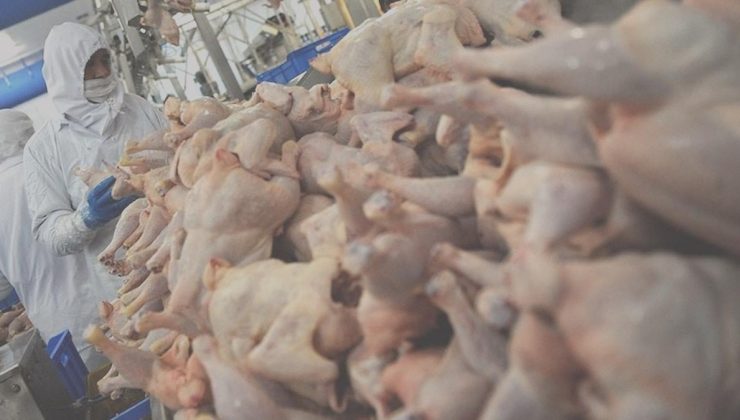 Beyaz et üreticilerinden ‘fiyat artışı’ ile ilgili karşılaştırma: ABD’de 3 dolar, Almanya’da 5,5 euro