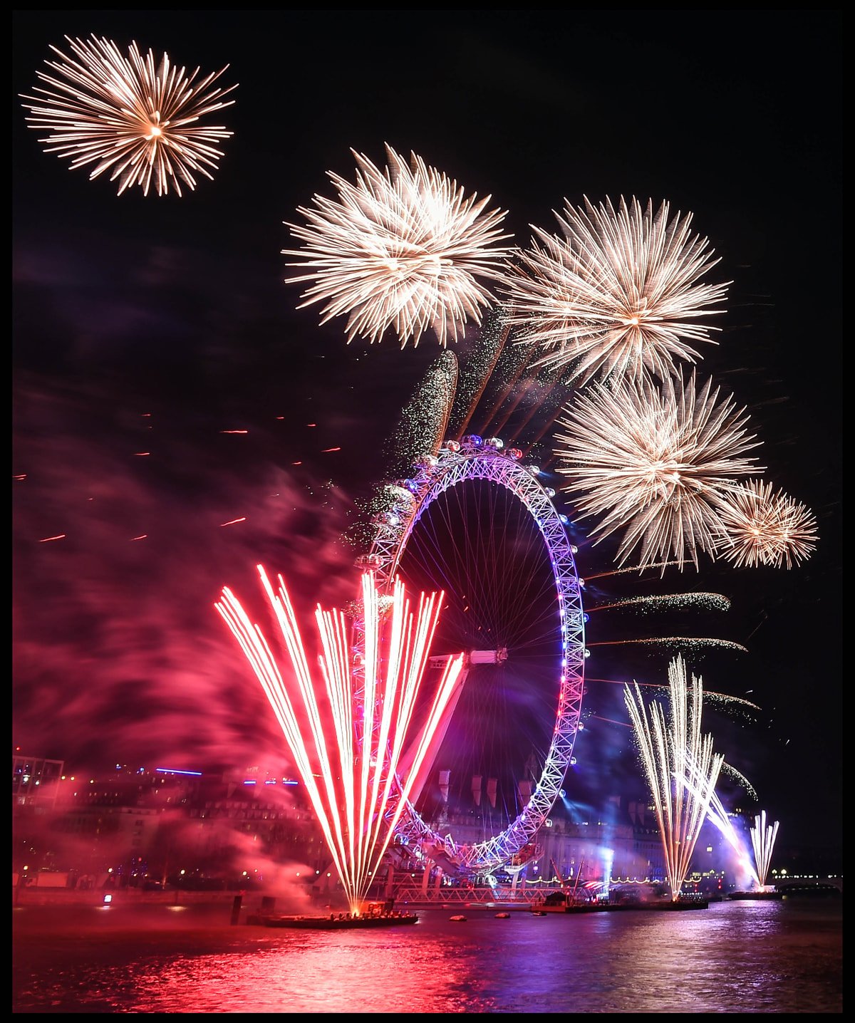 Bodrum görgüsüzü