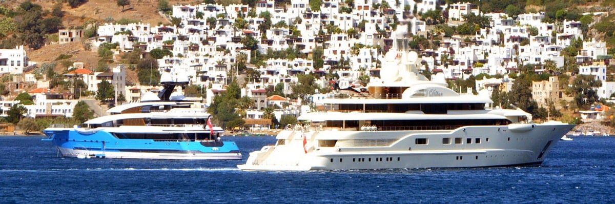 Bodrum görgüsüzü