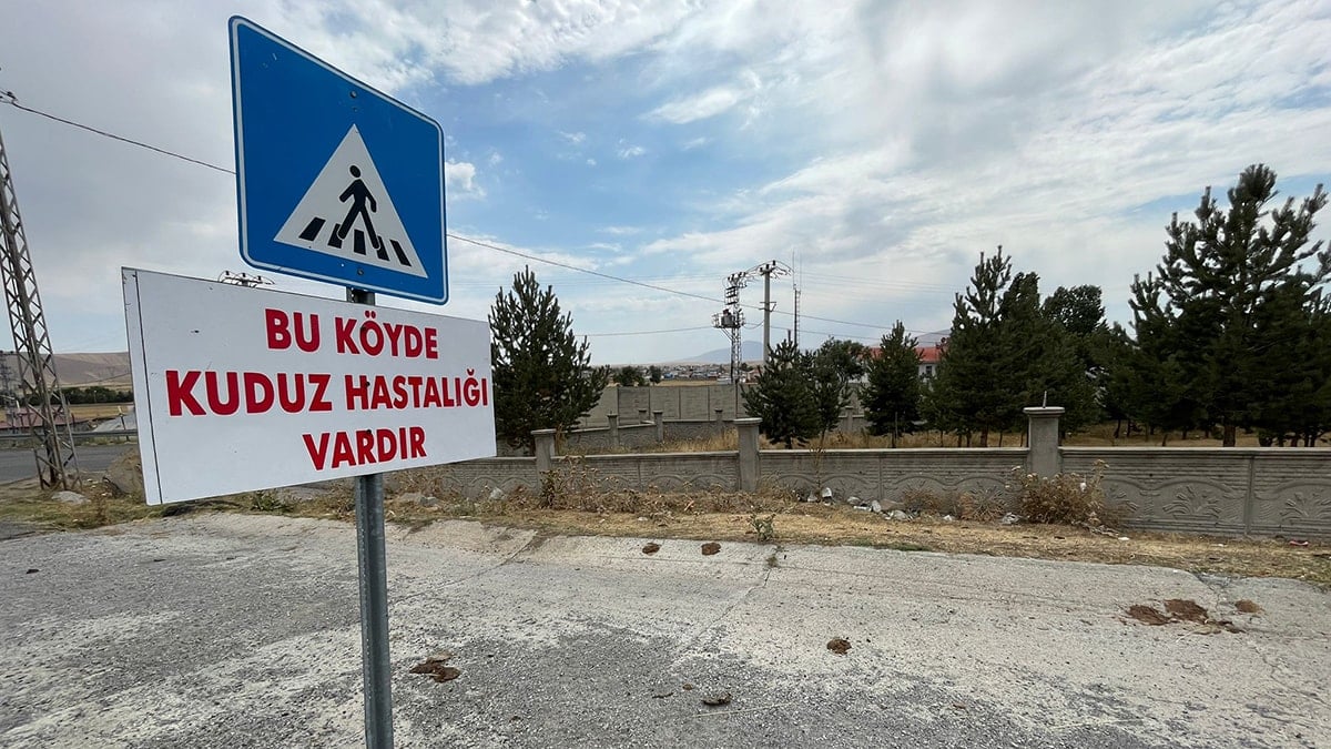 Bir köpeğin tilkiyle mücadelesi sonrası beldede kuduz riski tespit edildi