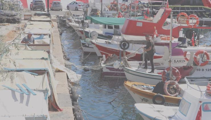 Gırgır ve trollerin av yasağı sonrası balıkçılar gece denize açıldı: Marmara’daki umutlar sürüyor