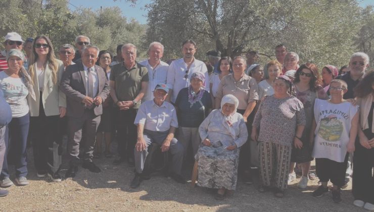 Hukukçular İkizköy Akbelen’e çıkartma yaptı zeytin katliamına sert reaksiyon gösterdi