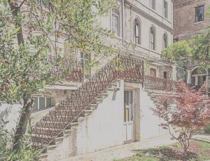 İstanbul’da Bienal vakti