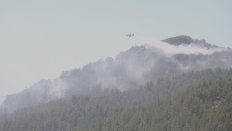 Muğla ve Antalya’daki orman yangınları denetim altına alındı