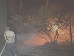 Muğla’da 4 farklı noktada orman yangını