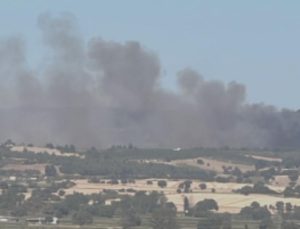 Orman yangınında korkutan anlar: Arazöz alevlerin ortasında kaldı