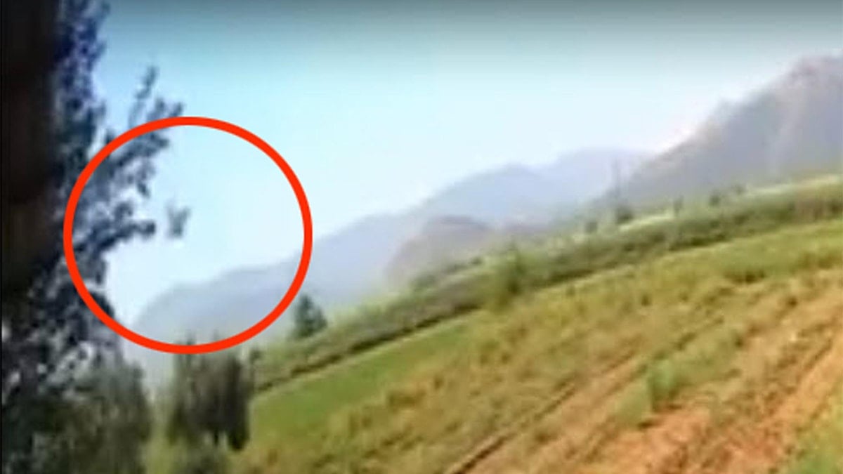 Pilot adayı Berfu hayatını kaybetmişti! Uçağın kaza imgeleri ortaya çıktı