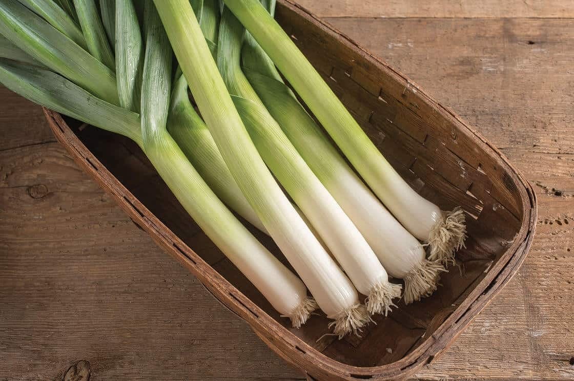 Pırasa yerken bir sefer daha düşünün