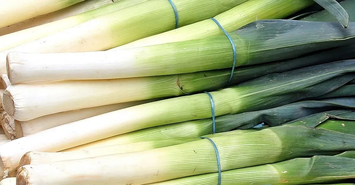 Pırasa yerken bir sefer daha düşünün