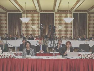 Profesörün, Atatürk ve Öcalan sözleri komitede reaksiyon gördü