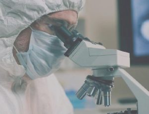 Salgın yayılıyor! Yetkililer: Bu hayvanlarla mutlaka temas etmeyin