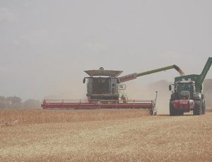 TÜİK açıkladı: Ayva kivi ve turunçgillerin fiyatı yüzde 131 arttı