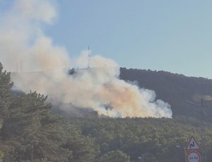 Yangın Haberi: Kayışdağı Ferhatpaşa yakınlarında başlayan alevler, bölgeyi etkisi altına aldı