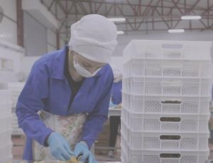 14 ülkeye ihracat yapan Türk besin devi iflasın eşiğinde