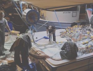 Denize açılan balıkçılar bir gecede milyoner oldu