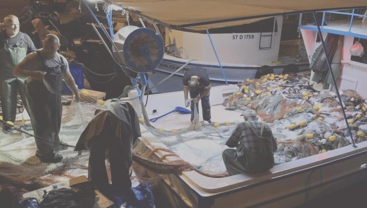 Denize açılan balıkçılar bir gecede milyoner oldu